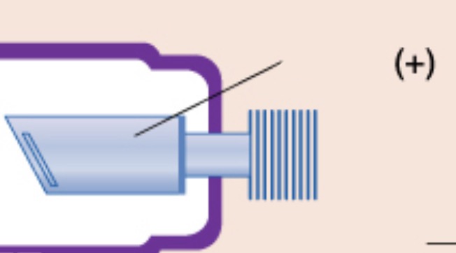 <p>anode (+)</p>