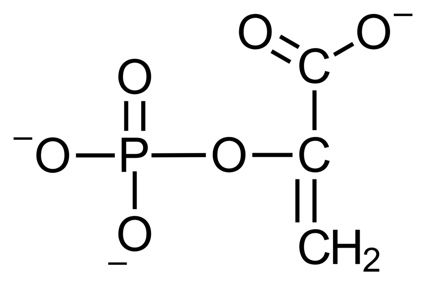 <p>D. Phosphoenolpyruvate</p>