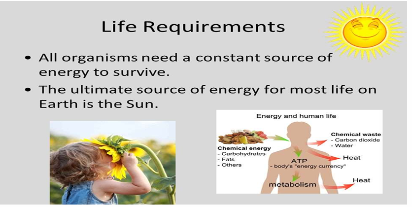 <p>What is this in the Characteristics of Life?</p>