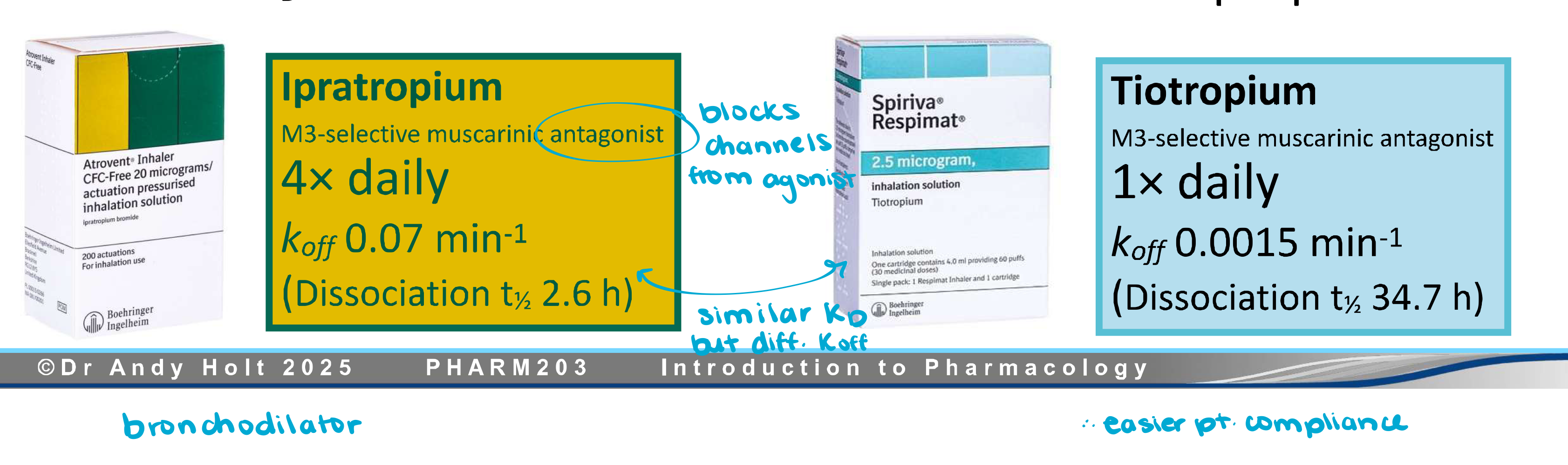 <p>Drugs with very small k<sub>off</sub> values are referred to as —- —- dugs. The drug effects can persist long after most of the drug has been cleared from the body, allowing less-frequent dosing. </p>