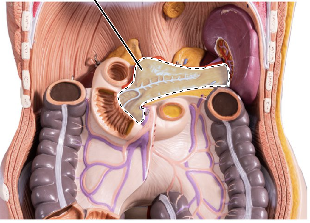 <p>What is this?</p>