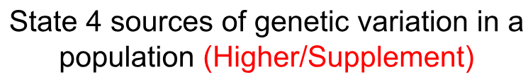 term image