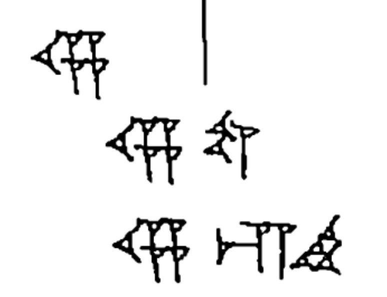 term image