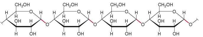 <p>Which compound is the following?</p>