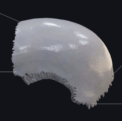 <p>What is this?</p>