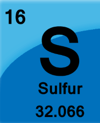 <p>16th Element</p>