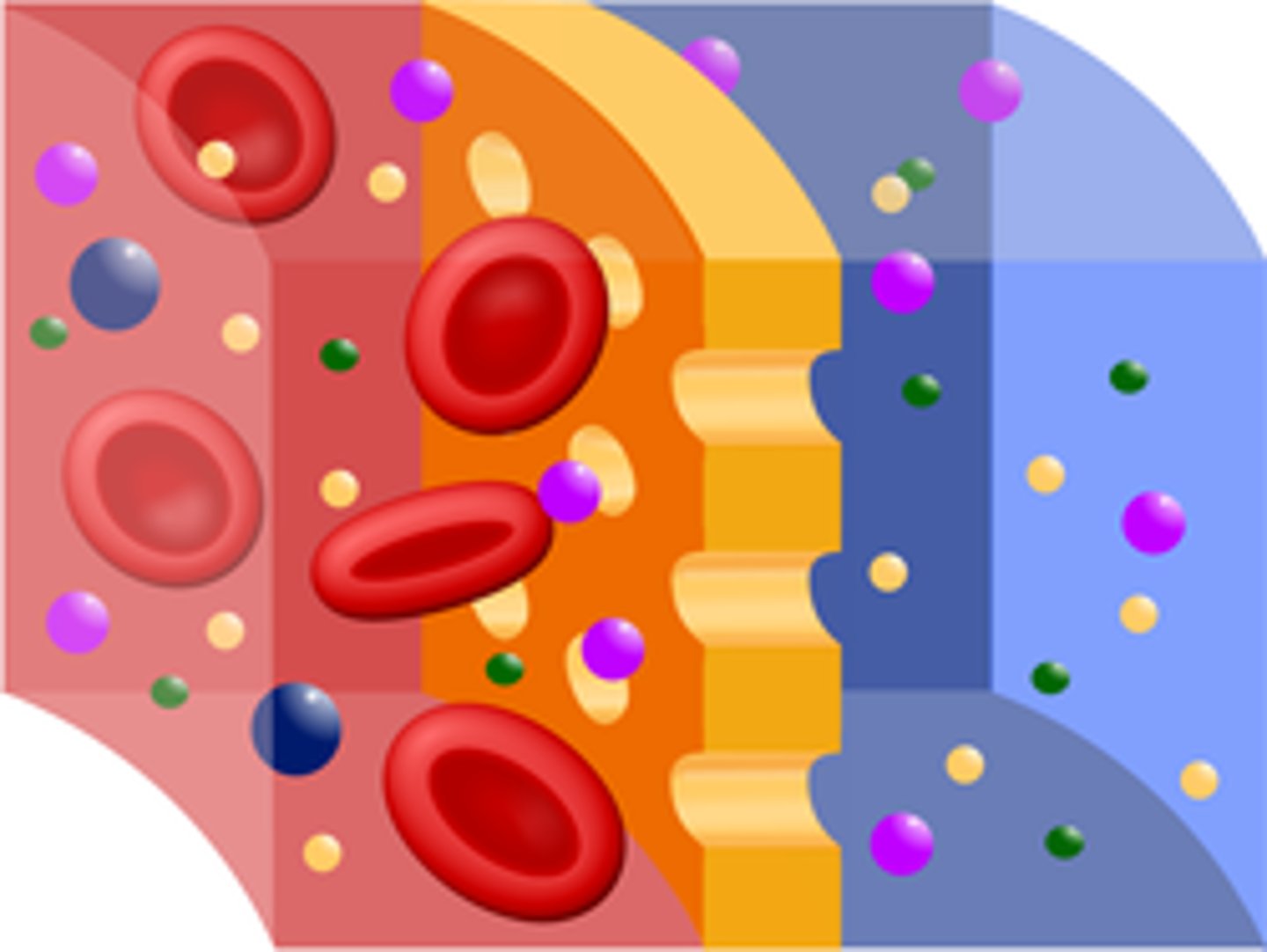 <p>A property of a plasma membrane that allows some substances to cross more easily than others.</p>