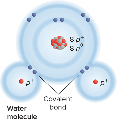 <p>Covalent Bond</p>