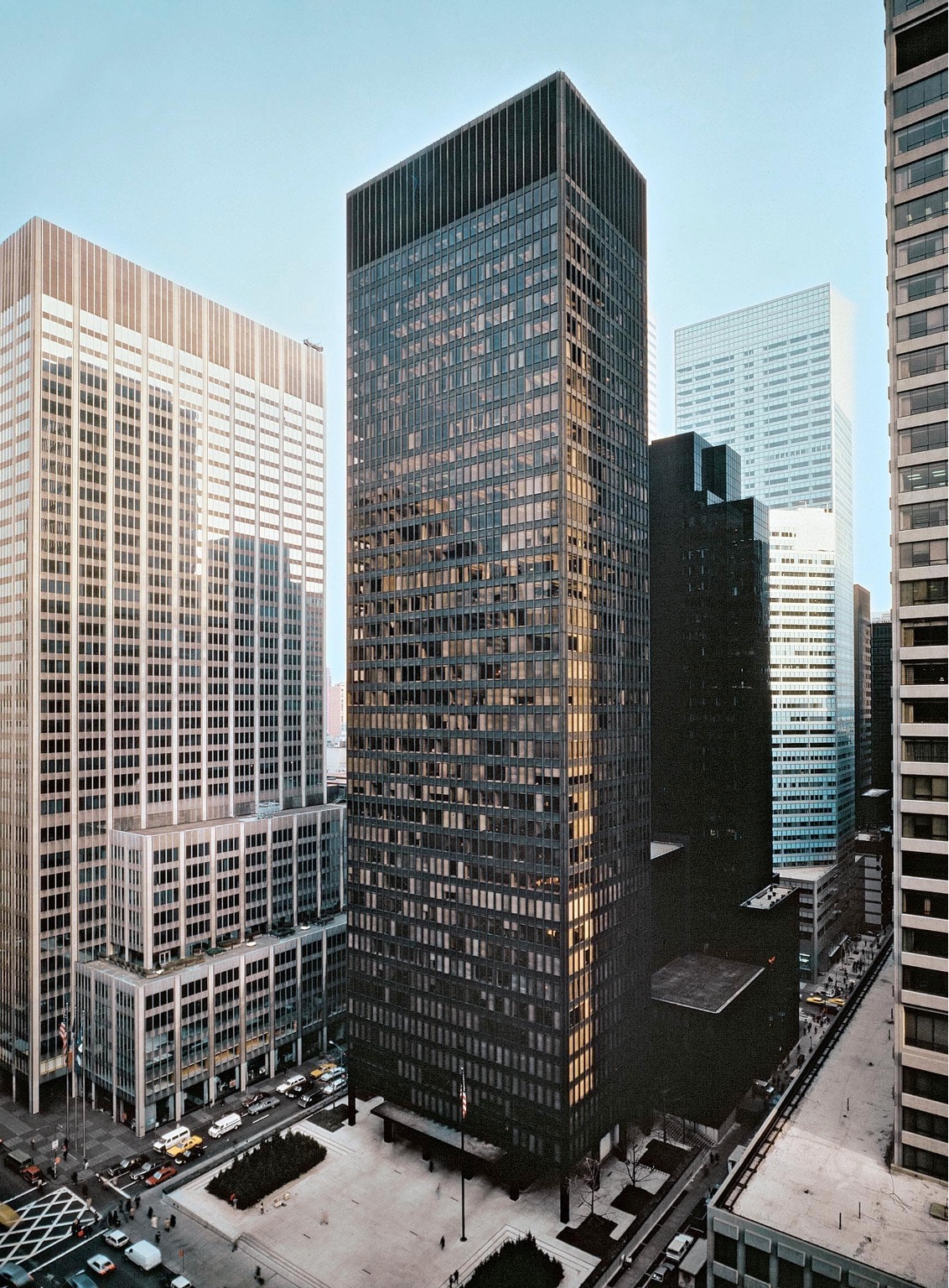term image