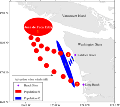 1.fount in the waters of the pacific Northwest
2.cause memory loss
3.produce abdominal pain
4.linked with scallops