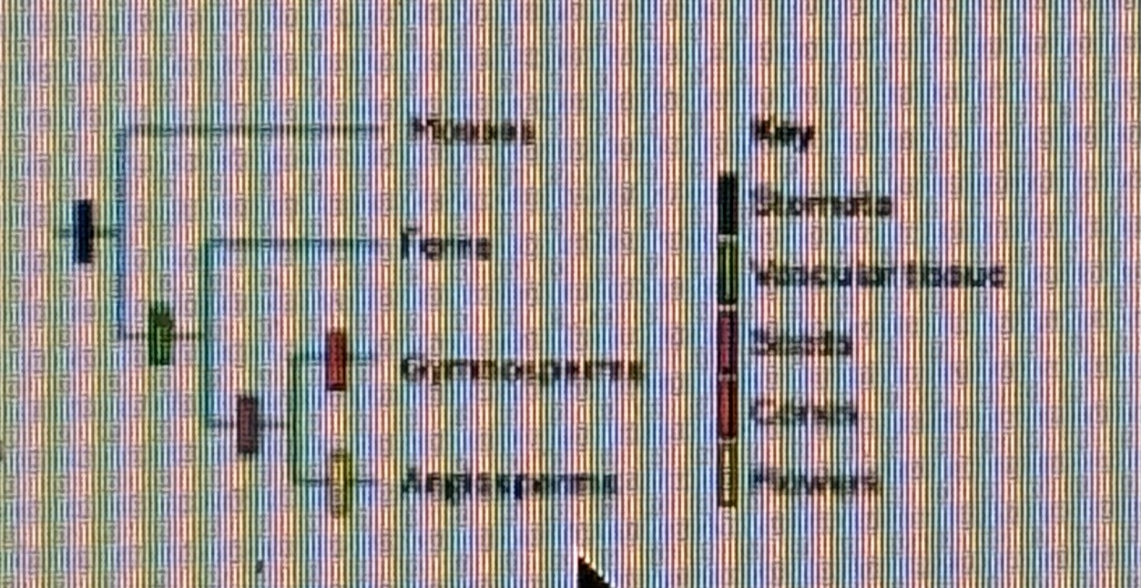 <p>Based on the plant cladogram below, the trait of vascular tissue is ___ for angiosperms and ___ for ferns.</p><p>Ancestral; Ancestral</p><p>Ancestral; Derived</p><p>Derived; Ancestral</p><p>Derived; Derived</p>