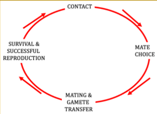 <p>Which of the links below relate to prezygotic barriers and which relate to postzygotic barriers?</p>