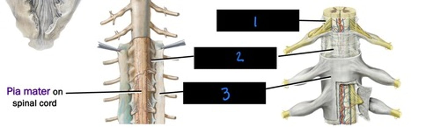 <p>what is image 2?</p>