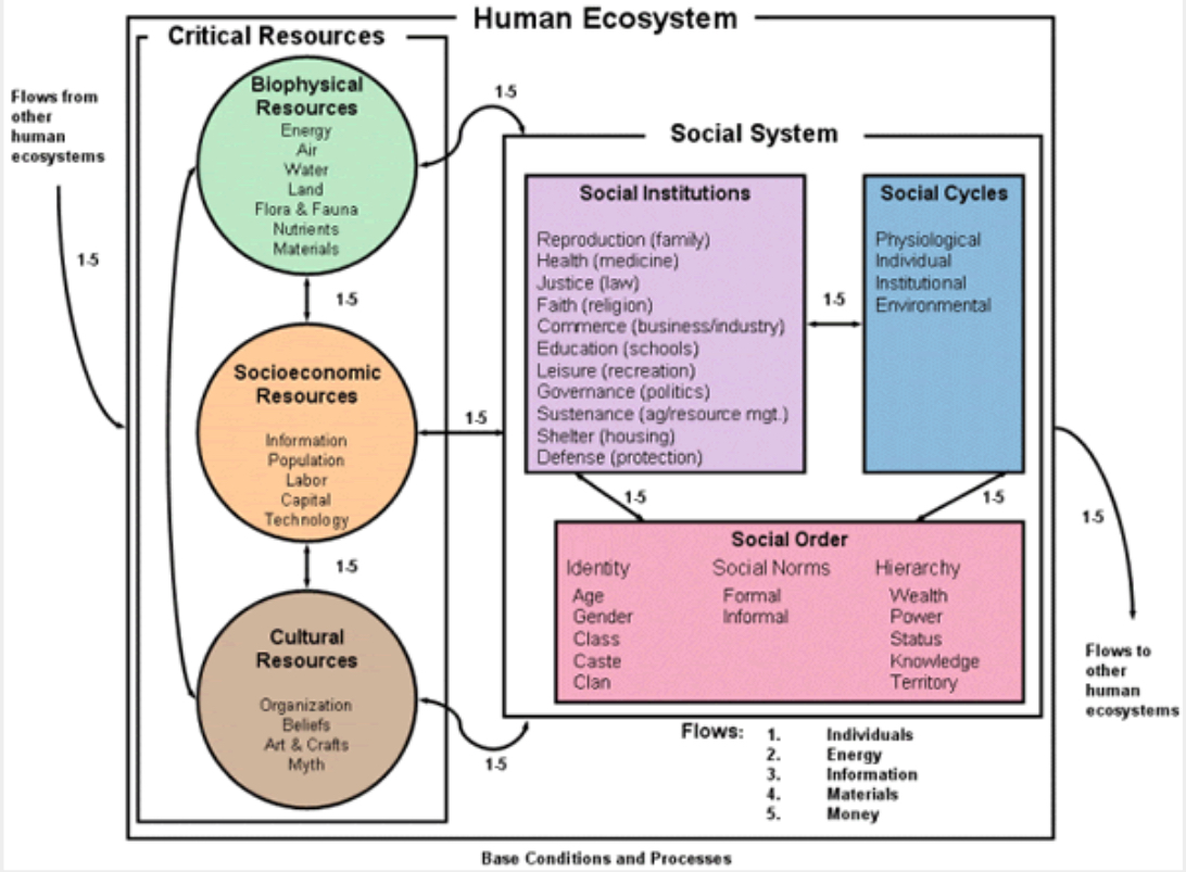 <p>What human ecological framework is this?</p>