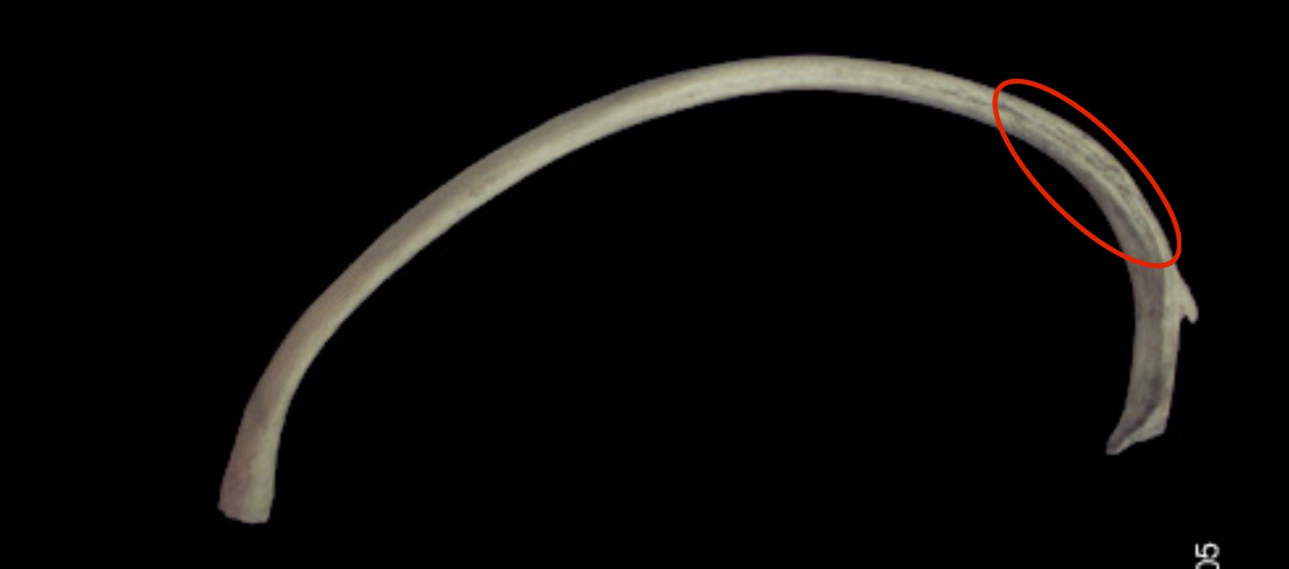 <p>What is this structure?</p>