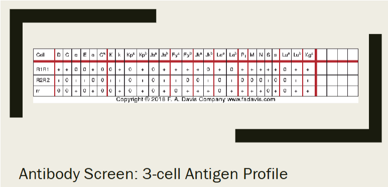<ul><li><p><span>Antigen profiles (antigrams)</span></p><ul><li><p><span>Grids that indicate antigen make up of commercial RBCs used for antibody detection or identification</span></p></li><li><p><span>Uses group O reagent RBCs (phenotyped)</span></p></li><li><p><span>A well-designed panel will identify most commonly encountered antibodies</span></p></li></ul></li><li><p><span>Antibody screen—2 or 3 cell panels</span></p></li><li><p><span>Antibody identification—can be 10, 16, or 20 cell panels</span></p></li></ul><p></p>