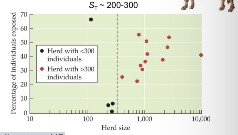 <ul><li><p>Ex brucellosis in bison, Yellowstone NP</p></li><li><p>Red dots = herds with brucellosis</p></li><li><p>Black dots = herds without brucellosis</p></li><li><p>Herd size density</p><ul><li><p>If you fall below that, disease never takes off, herds remain disease free</p></li><li><p>If you fall above that, herds with more than 300 individuals will always have the disease</p></li></ul></li></ul><p></p>