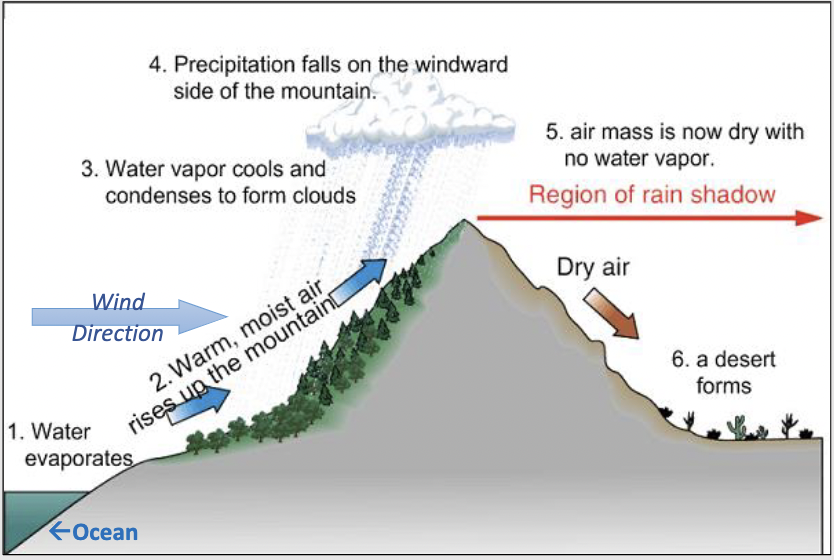 Large Mountains cause a Rain shadow effect 