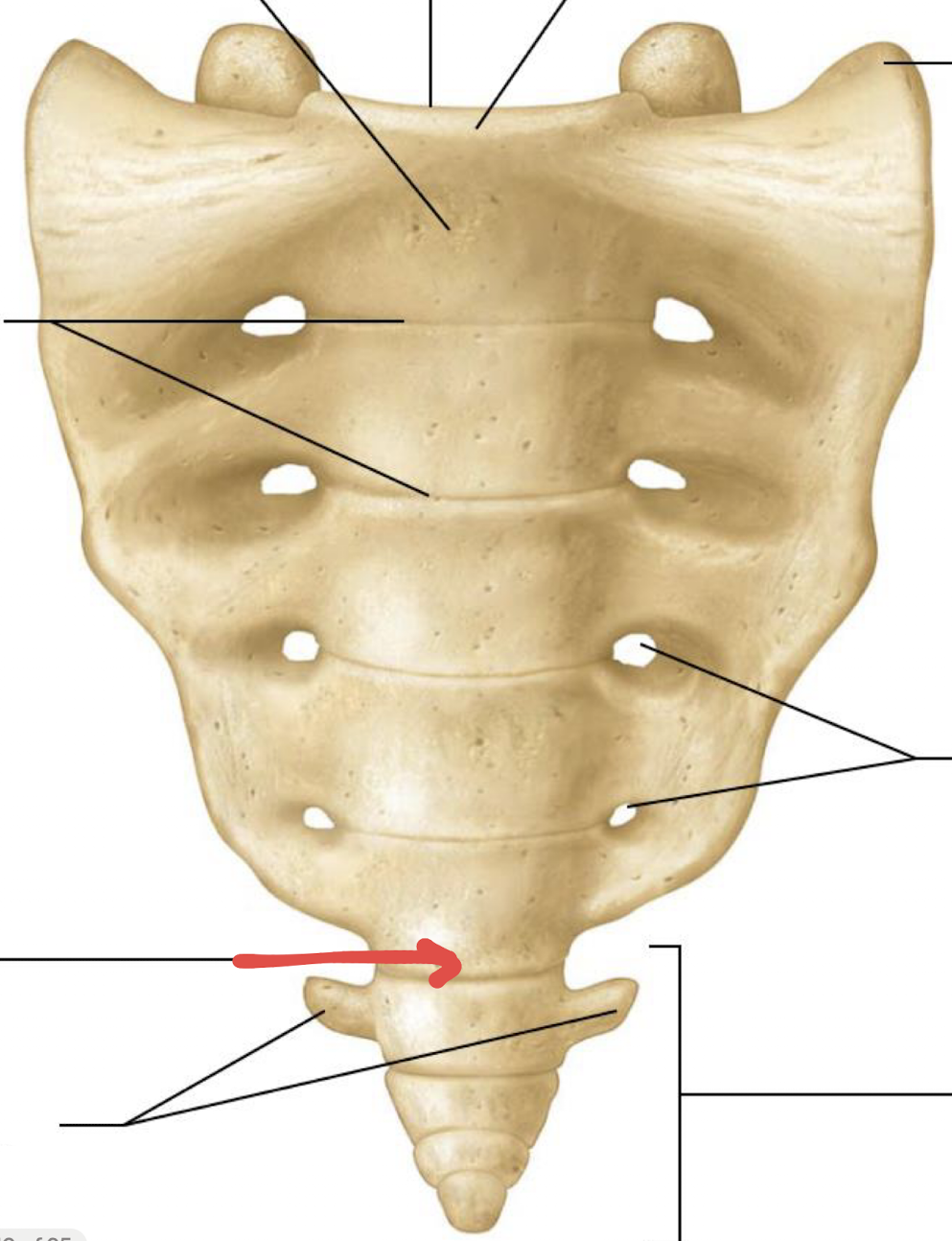 <p>what is this?</p>