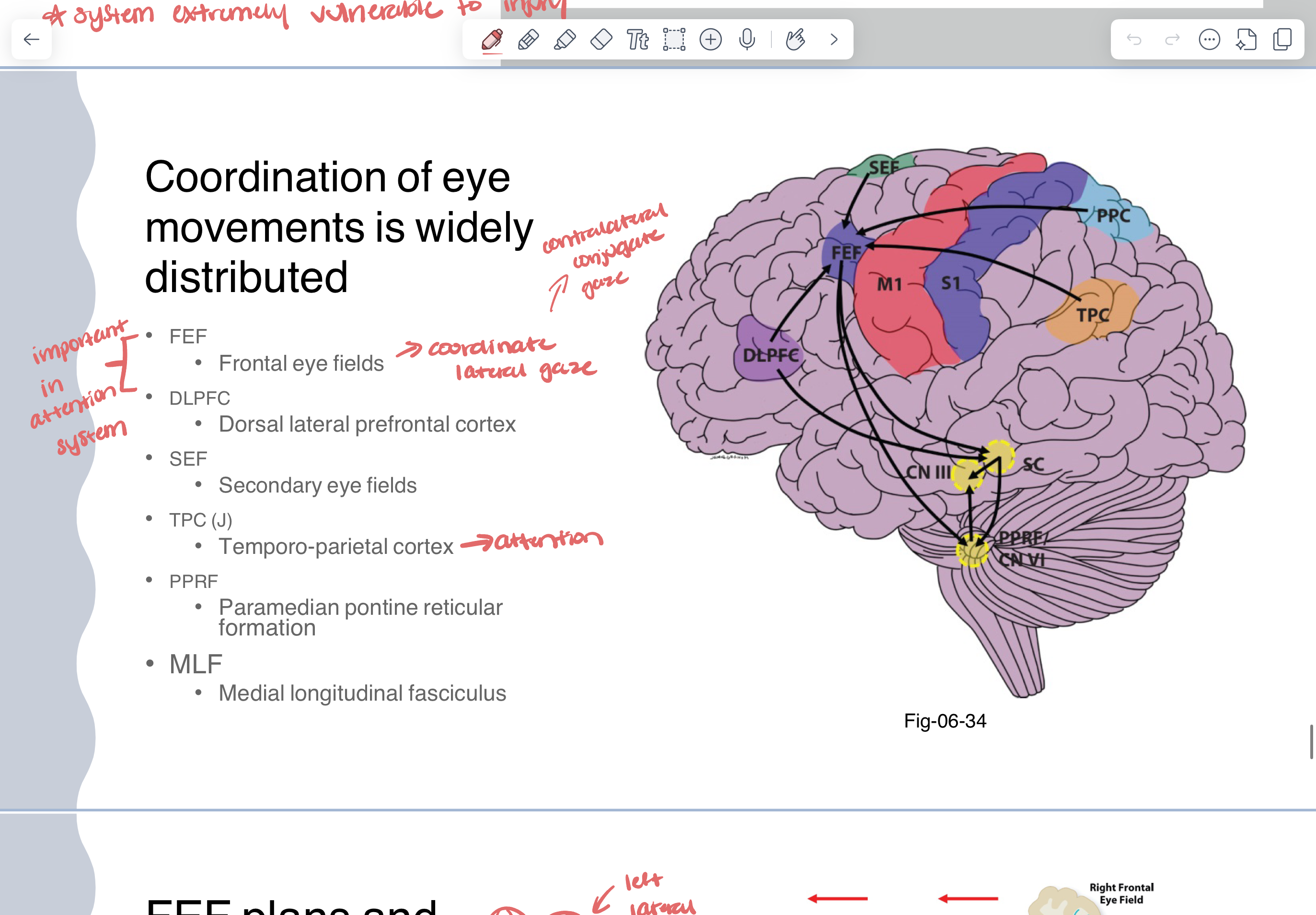 knowt flashcard image