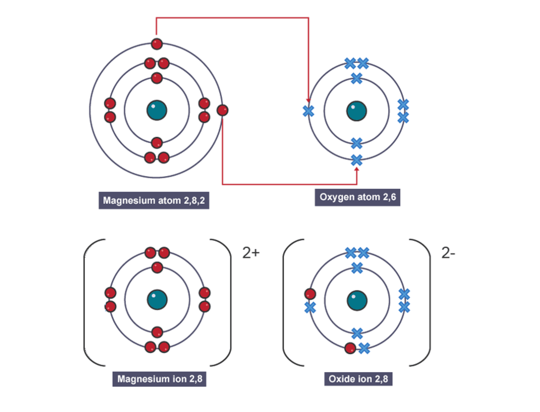 <ol><li><p>draw electronic configuration of each atom</p></li><li><p>work out how many electrons are transferred</p></li><li><p>draw configuration of ions formed</p></li><li><p>write the charge of each ion [   ]<sup>±</sup></p></li></ol><p></p>