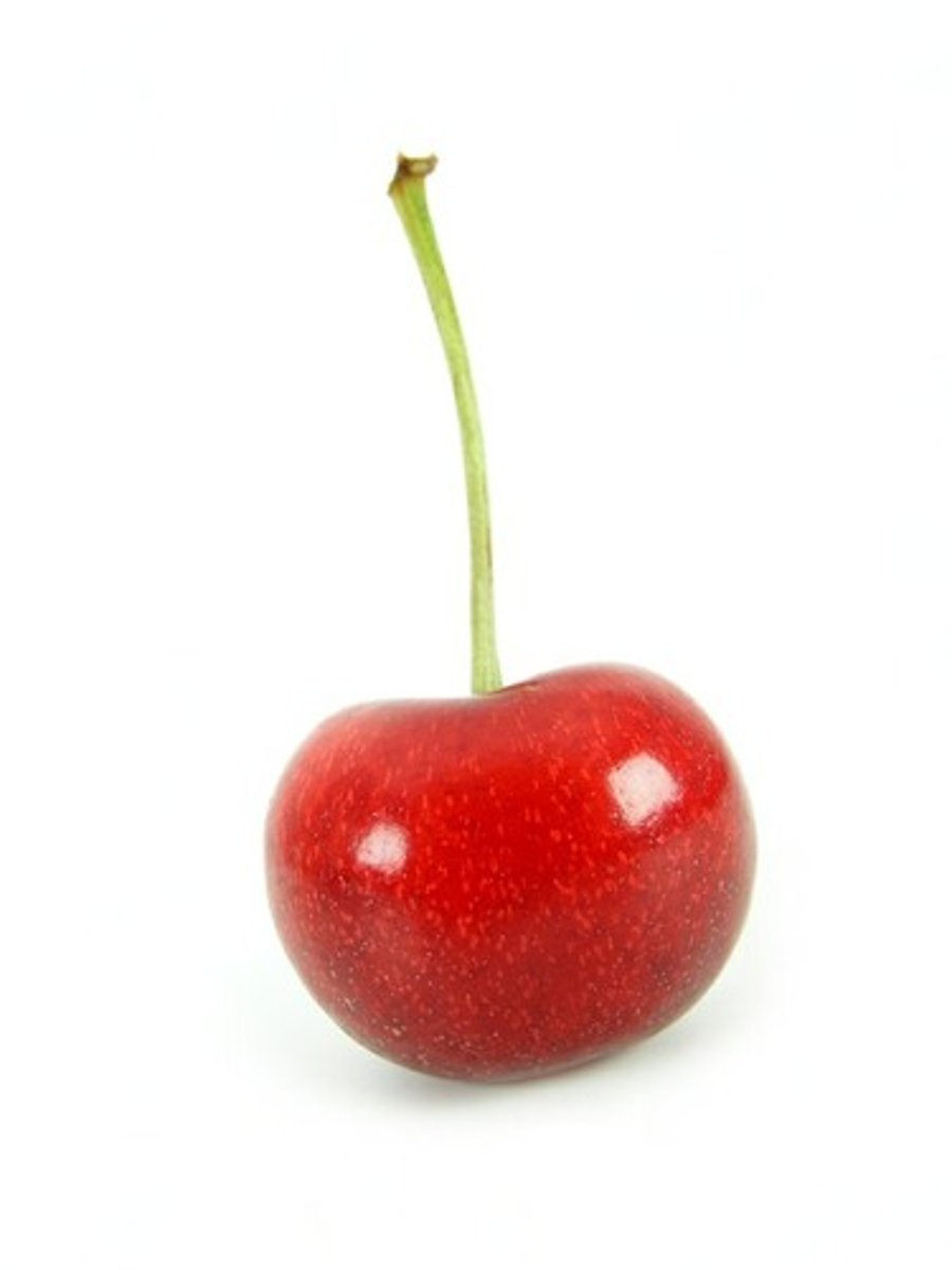 <p>cherry</p>