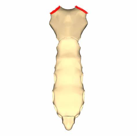 <p>What is this?</p>