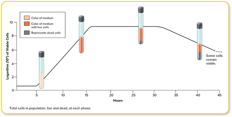 Label the image to test your understanding of bacterial growth curves.