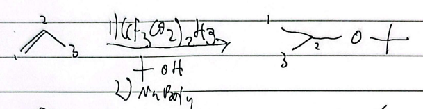 <p>secondary or tertiary</p>