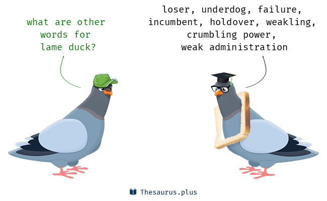 <p><span style="background-color: transparent;"><span>lame duck</span></span></p>