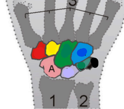 <p><span><span>quel est cette partie?</span></span></p>