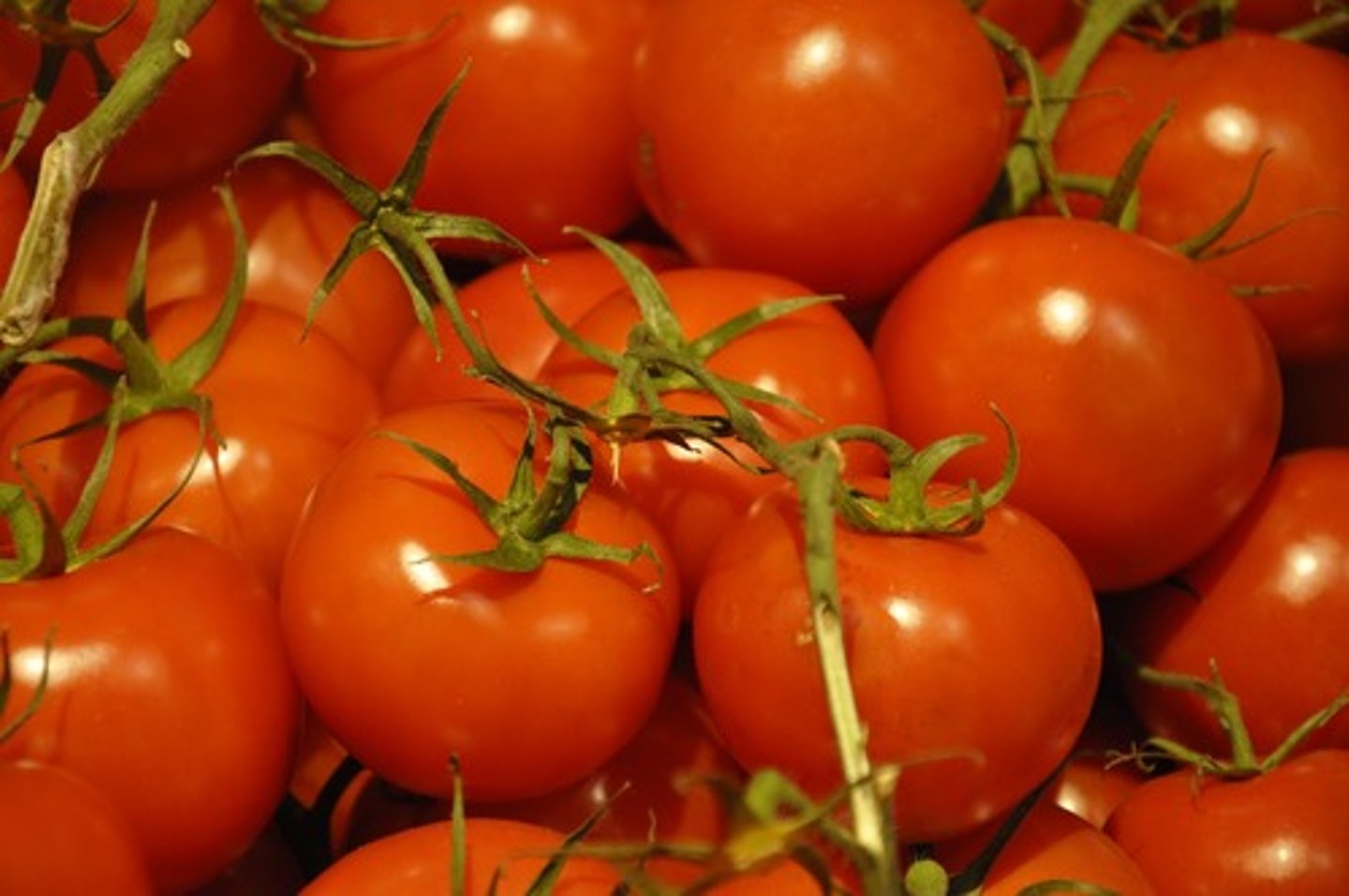 <p>tomato</p>