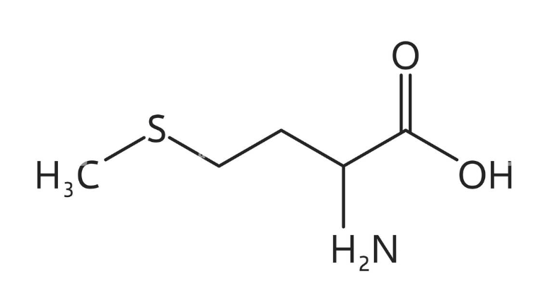 <p>What amino acid is this?</p>