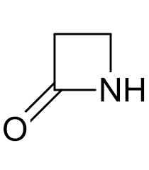 <p>(CH2)2CONH</p>