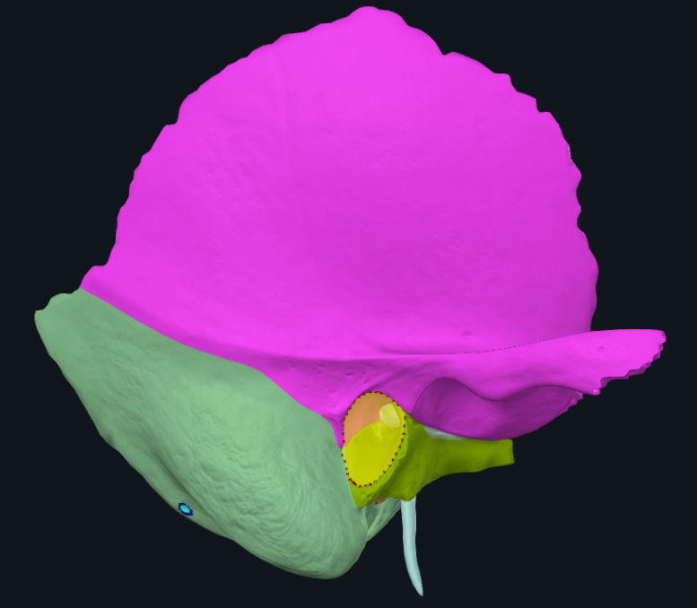 term image