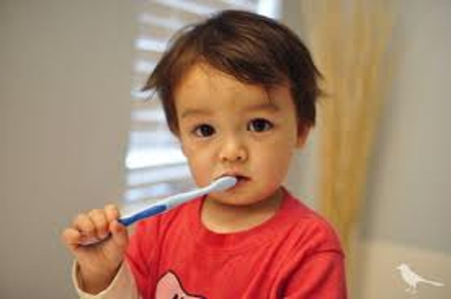 <p>to brush one's teeth</p>