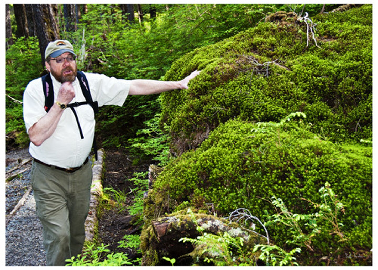 <p>persona que conduce, dirige, aconseja u orienta a otras que viajan</p>