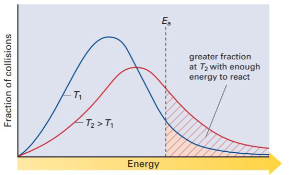 <p>Analyze this second graph (maxwell-boltzmann distribution)</p>