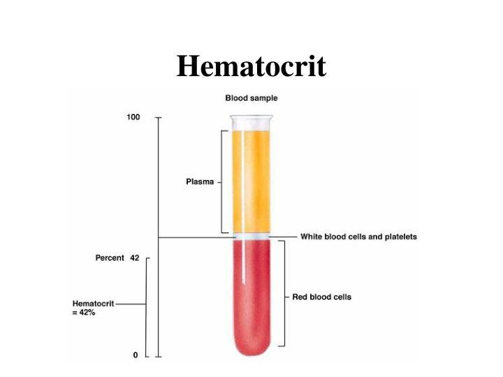 <p>hematocrit</p>