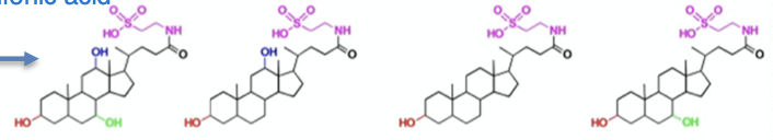 what type of bile acid are these
