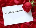 Hi