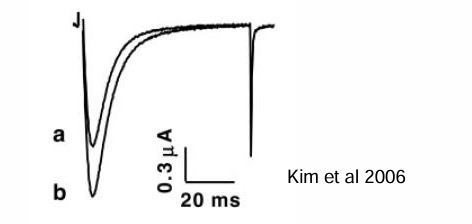 <p>What kind of channel is this image showing? How did you know? </p>