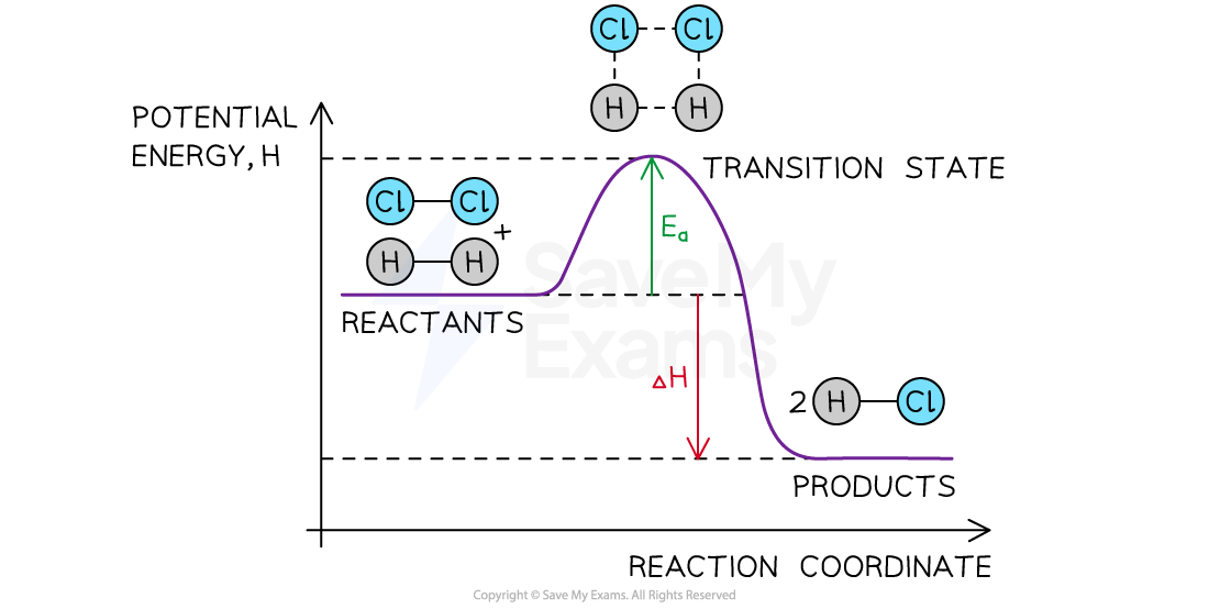 <ul><li><p>The energy needed to reach the transition state.</p></li></ul><ul><li><p>The minimum amount of energy needed for reactant molecules to have a successful collision and start the reaction</p></li></ul>