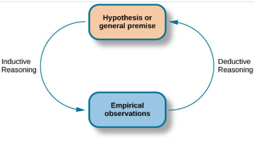 <p>Inductive reasoning</p>