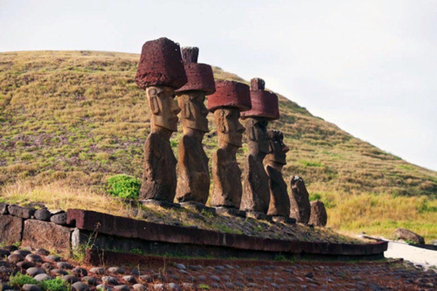 <p>Rapa Nui (Easter Island), Volcanic tuff (compressed ash) on basalt.<br><br>Male presenting, face inland to protect the island. White coral on the eyes to (awaken them)<br>Diefied the first settler kings. <br>Large heads, big forheads, broad noses/ears/<br>New religions -> destroyed many!!!</p>