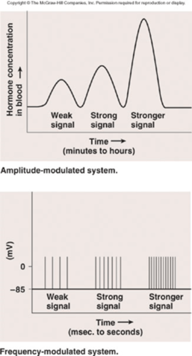 <p>frequency modulated, meaning amount of signal each time is same, but more signals leads to a stronger response</p>