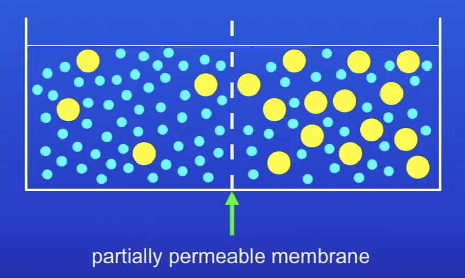 <p>Only allow some molecules to pass thru</p>