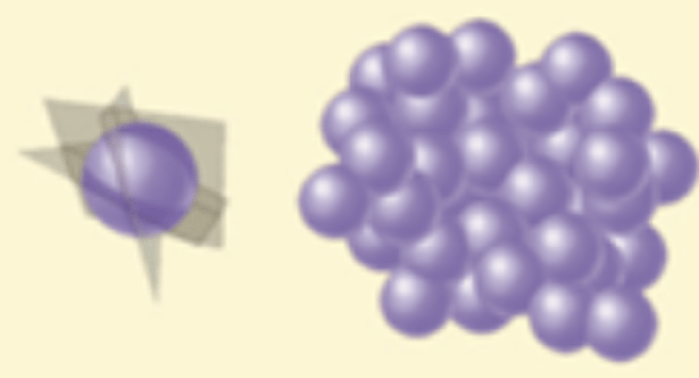 <p>What is the arrangement of the bacteria shown?</p>
