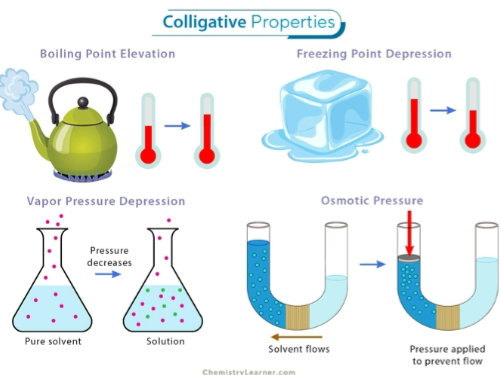 <p>Colligative properties</p>