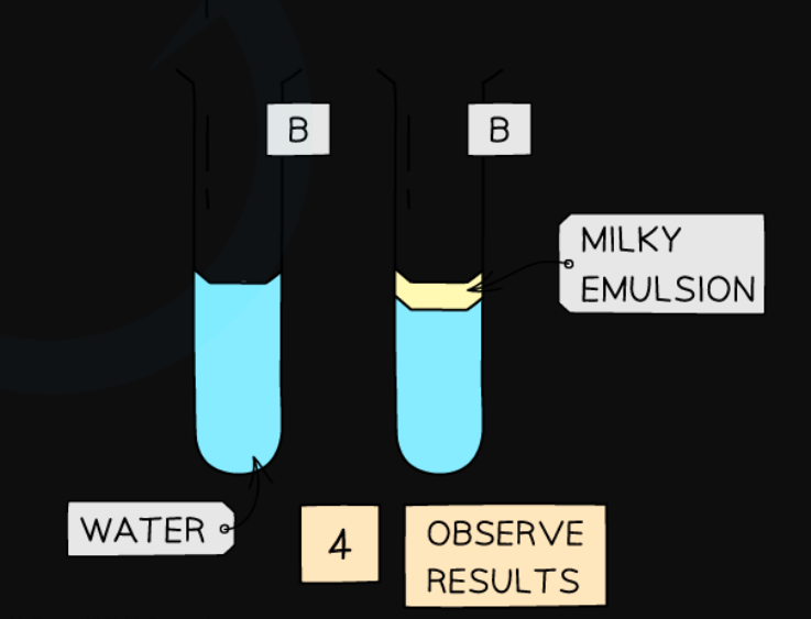 <p>What is the test for identifying fats? How is it completed?</p>